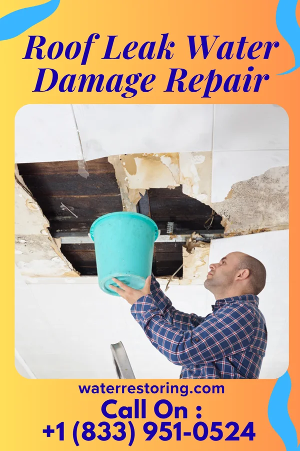 Roof Leak Water Damage Repair in Bangor, PA