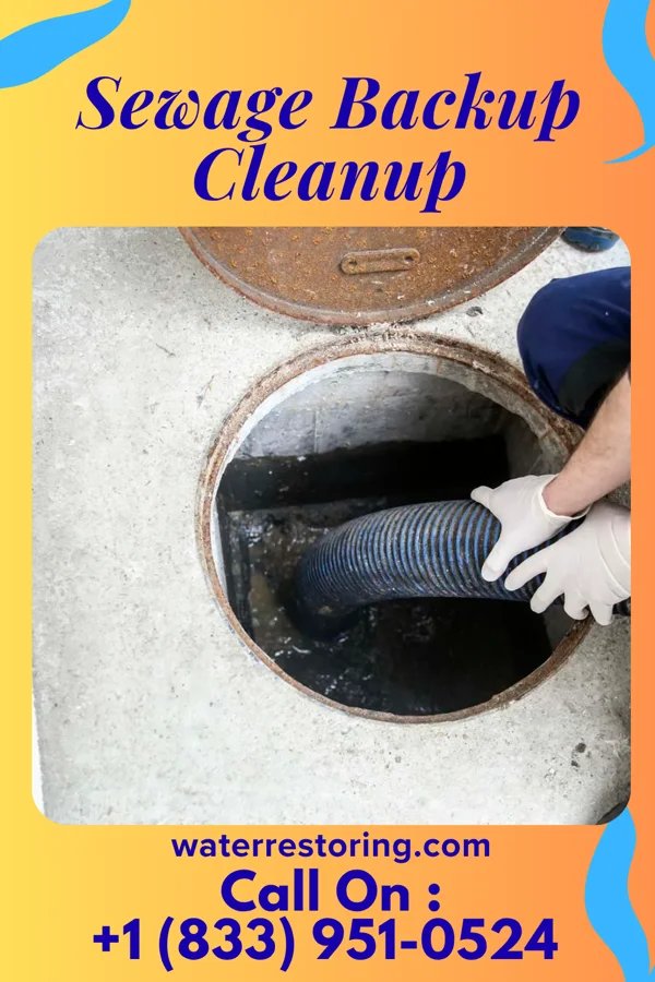 Sewage Backup Cleanup in Bangor, PA