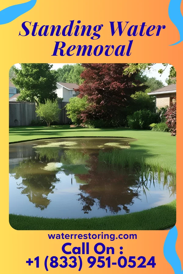 Standing Water Removal in Bangor, PA